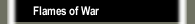 Flames of War
